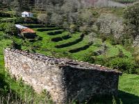 Terrassenfelder oberhalb Monchique